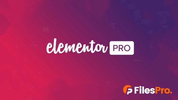 Elementor Pro